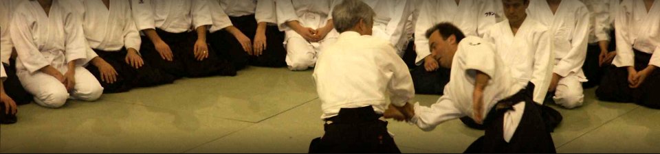 Moriteru Ueshiba's Aikido Class Wrist Lock